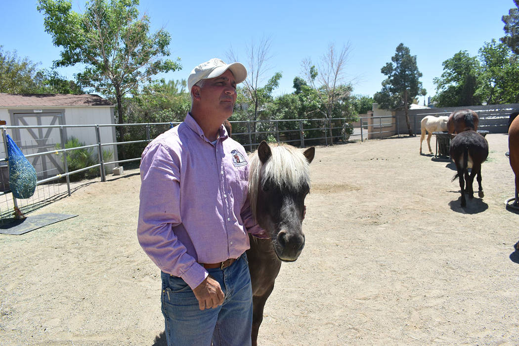Brian Smith ha mostrado la pasión y el afecto que tiene por los equinos. Jueves 25 de abril de ...