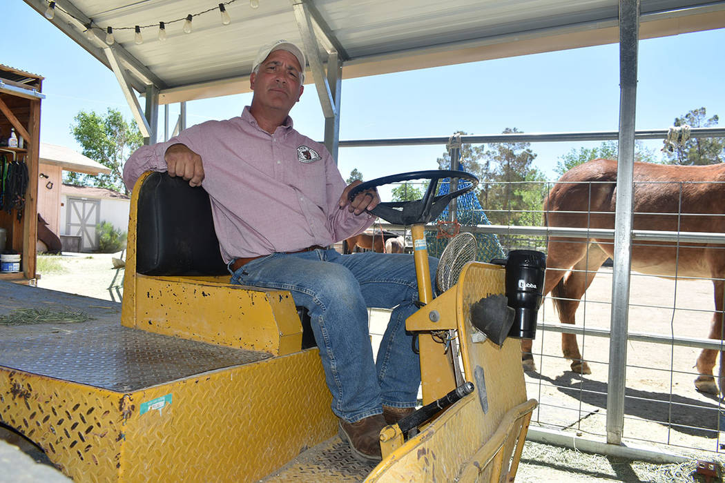 Brian Smith es propietario de ‘Funny Farm Mustangs’, organización que le permite ayudar a ...