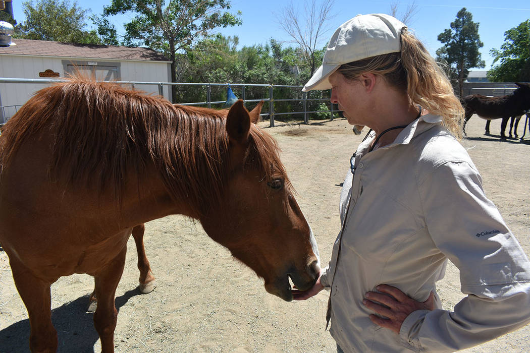 Christiane Hayashi adoptó a un caballo después de que este pasara por su proceso de entrenami ...